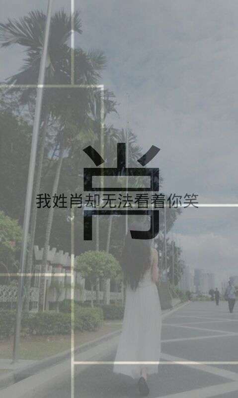 2018最火姓氏壁纸图片大全 我姓李却离不开孤独的你
