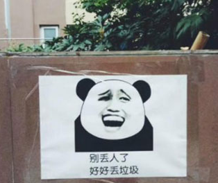 狗屎,猫屎到底属于什么垃圾?宠物粪便应该放哪里?