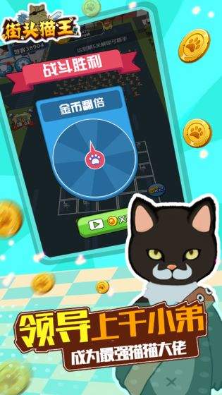 街头猫王