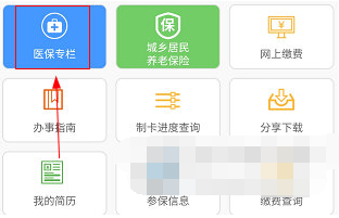 湖南智慧人社中医疗保险怎么缴纳 缴纳医疗保险方法教学