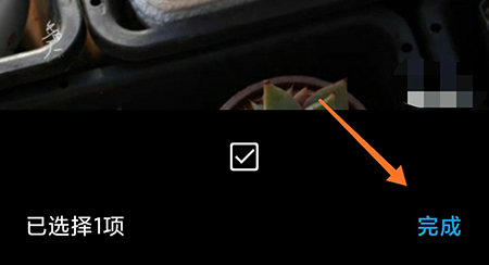 多肉成长记中如何进行对比 进行对比方法介绍