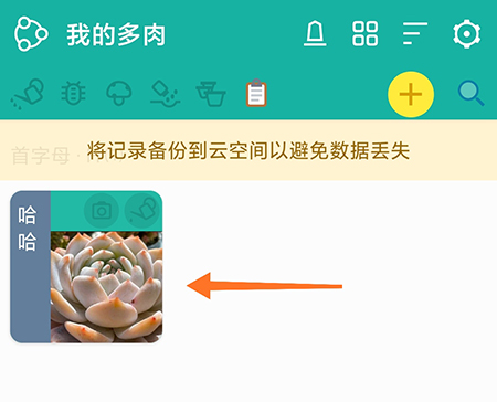 多肉成长记中肉肉怎么分享 分享肉肉操作教学