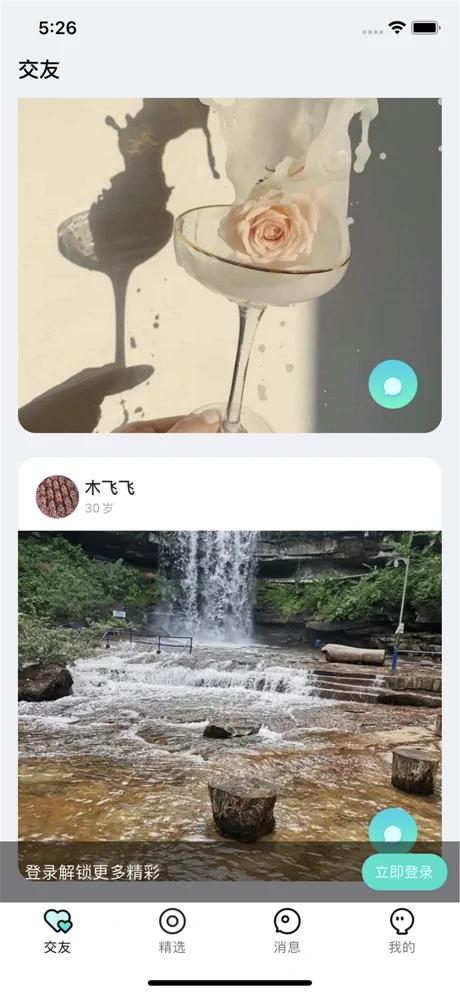 梨花之夜app手机版图3: