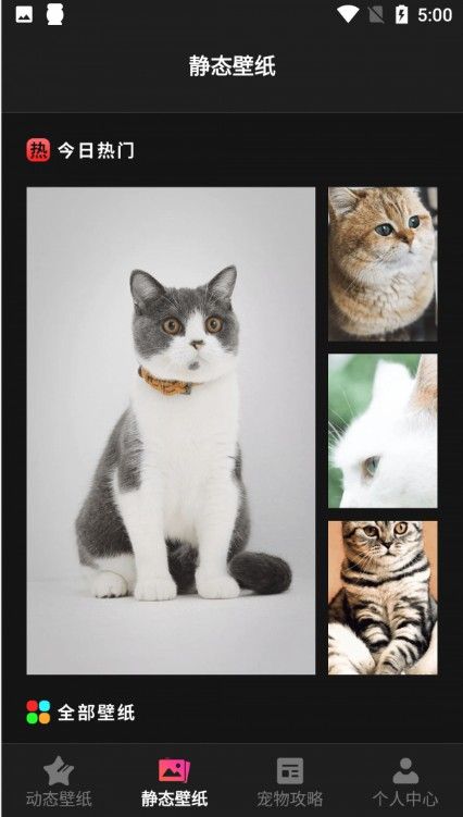猫咪壁纸app免费版图1: