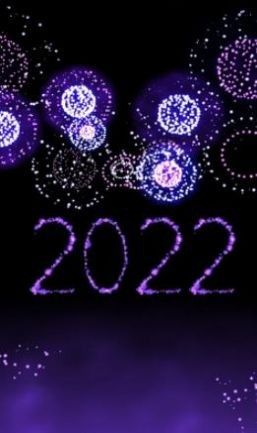 新年烟花模拟器2022_图片1